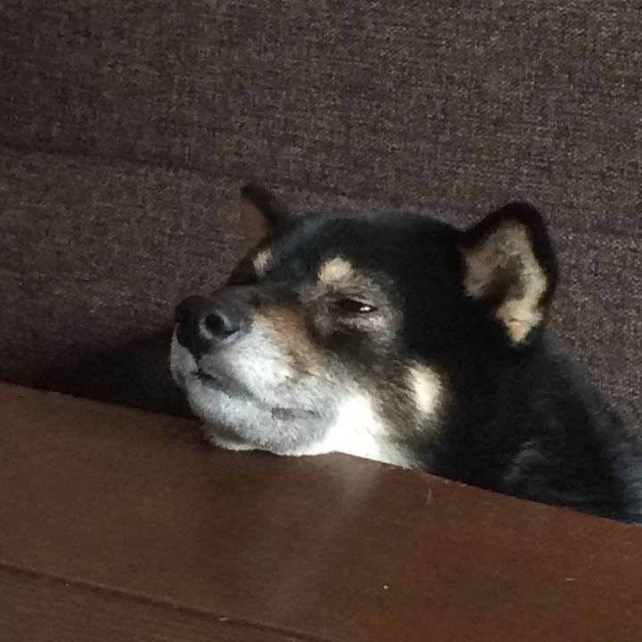 02d2463a 330e 4f36 8c17 5adea8d11a3a