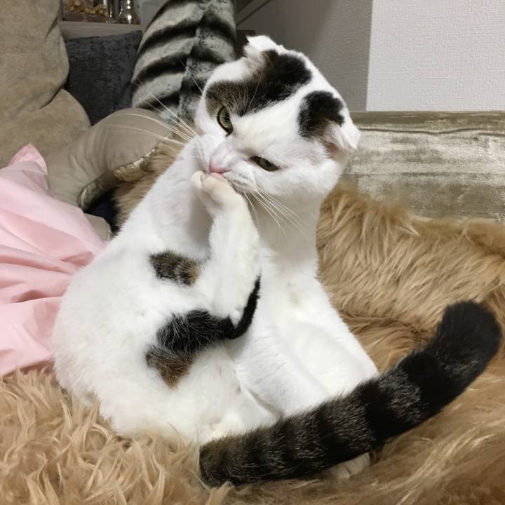 02d27f81 8565 4d3a 8e6a 4c204fb7ada2