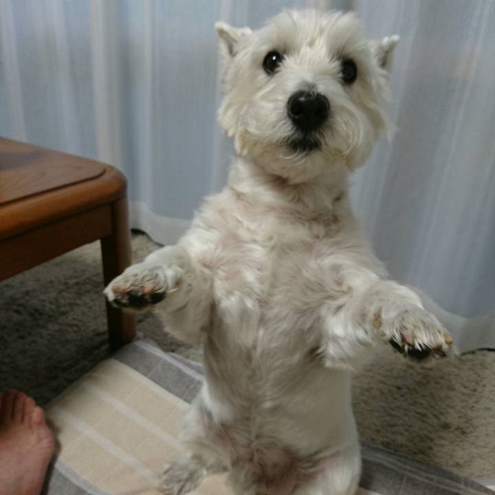 02d36dae c86d 45c0 ad27 cb24792b338e