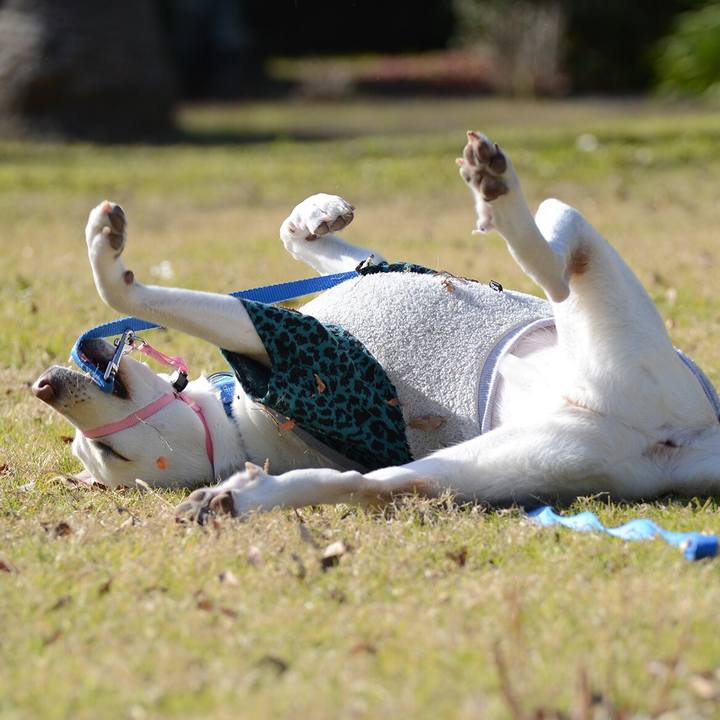 02d3e97c fd40 4773 bc3d e2b48d226b91