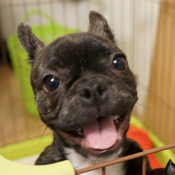 02d41a6d bdad 41f2 8d55 e15a5c076ca4