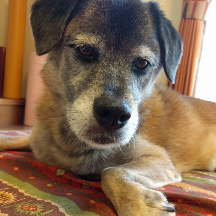 02d425c8 e6d2 42e5 9cc0 5422b812b2ef