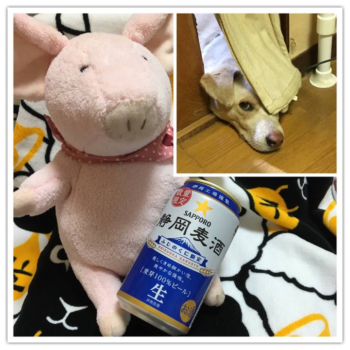 02d4270e 0380 485f 809b 2d9ef3caa4b5