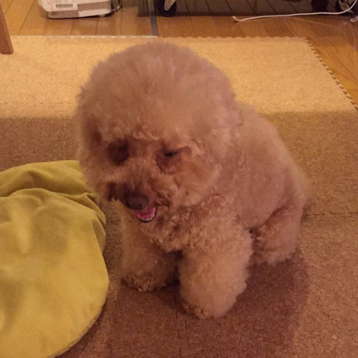 02d50f91 5e31 4108 9d45 95ad36584edd