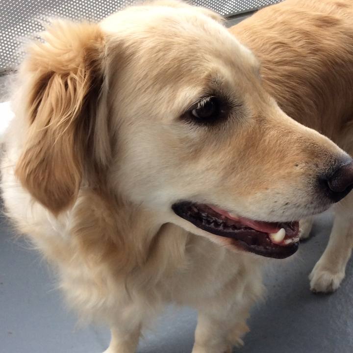 02d542bc 690c 4a1b a3b7 f61bc11f3258