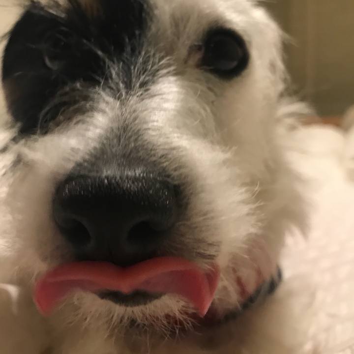 02d56b8e d82e 4cbf a4e8 e8c9372c7be9