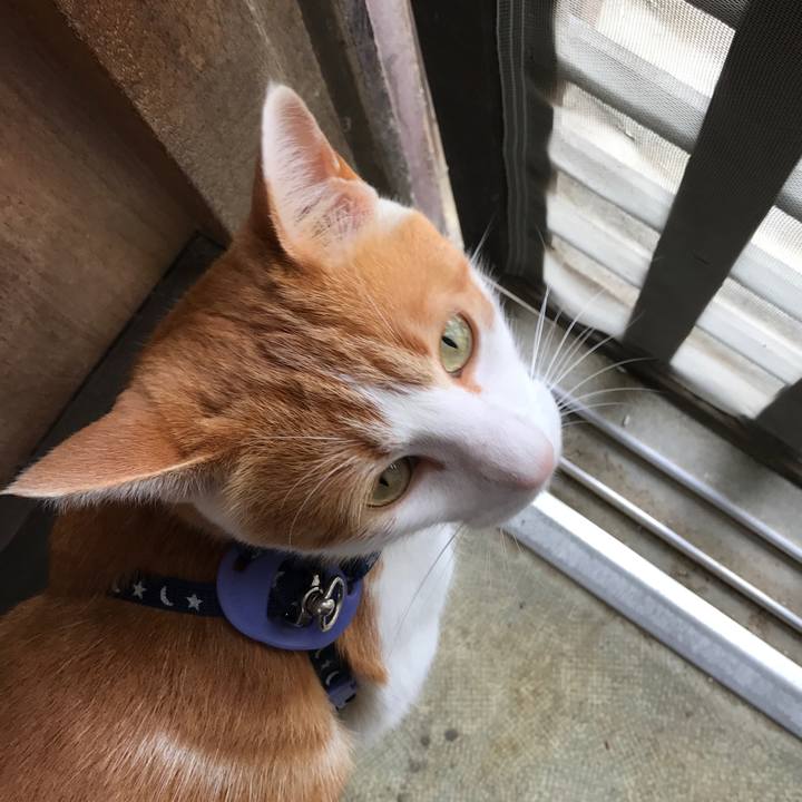 02d59fef 13f9 454d 9ec3 aad167507798