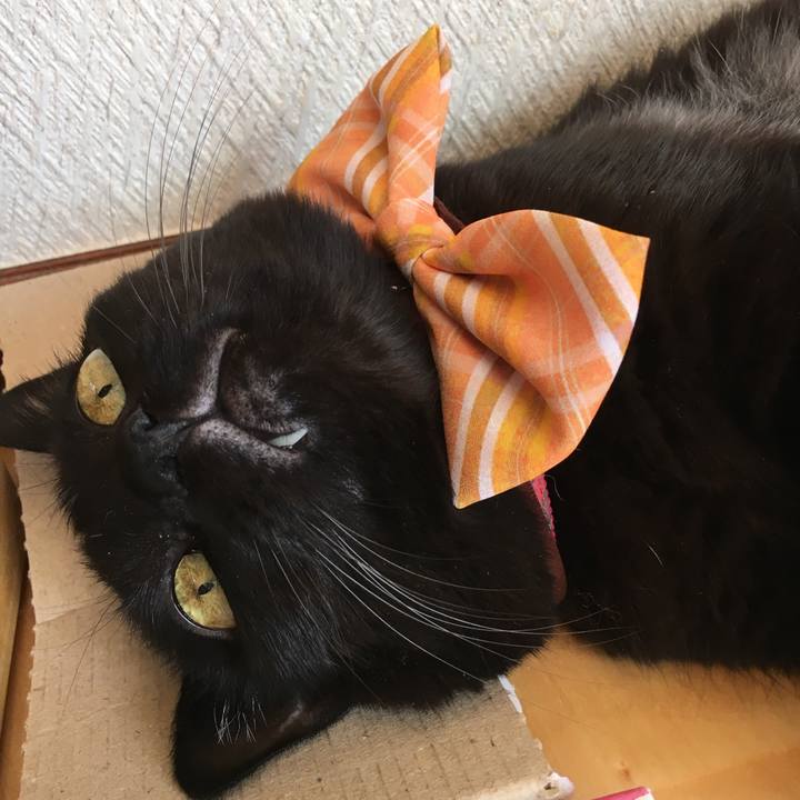 02d64974 b284 4424 b78d b2dfd5c12037