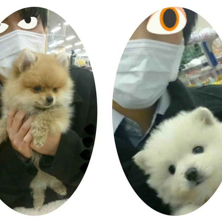 02d65cc4 5ad2 4629 99b2 5cf0324800c0