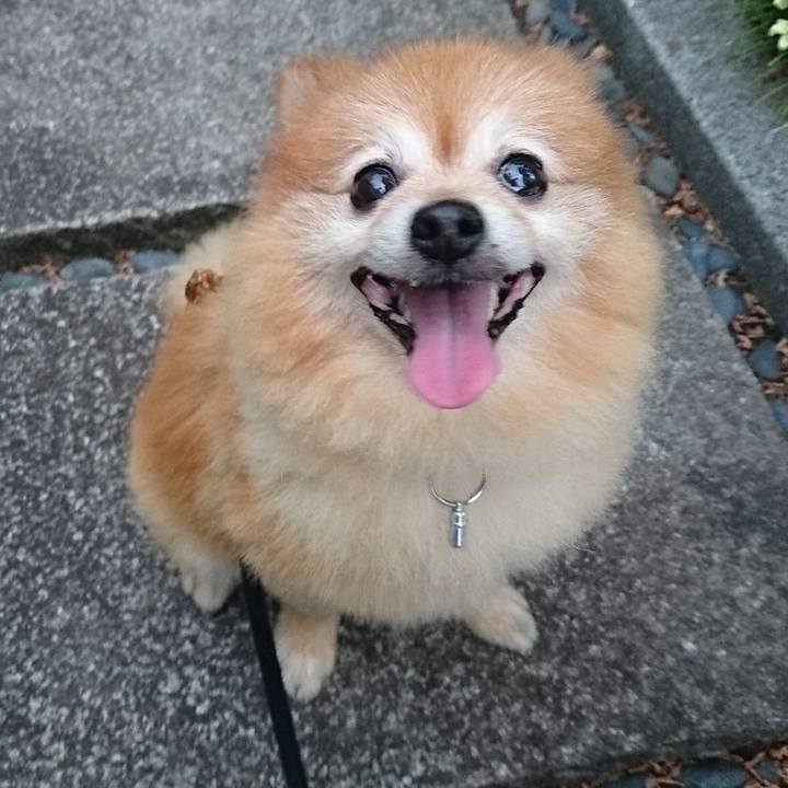 02d7728a 908e 440e b5db 3a575f307b33