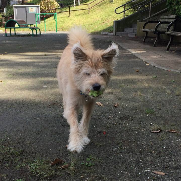 02d7b063 c8d9 4f33 8fdf e5b05b6051cf