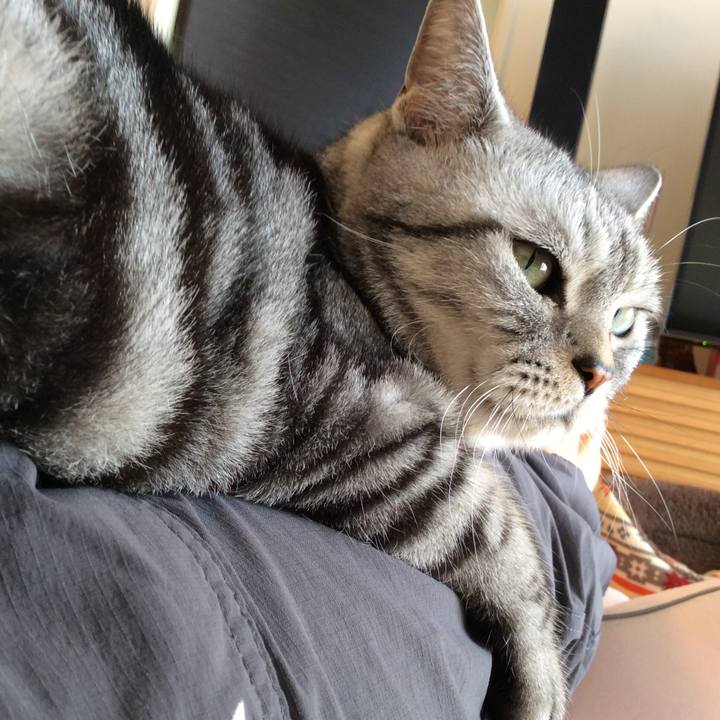 02d7b2dd 7fbd 4847 b3fc 77f19cd7085d