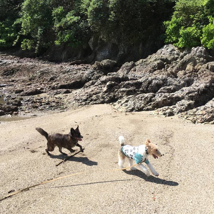 02d7e8c1 0d5b 4fed adb2 f01f49dd400c