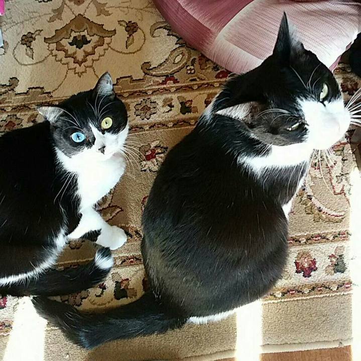 02d7f7bc a2bd 4c0b 89ab 44ae42cc6230