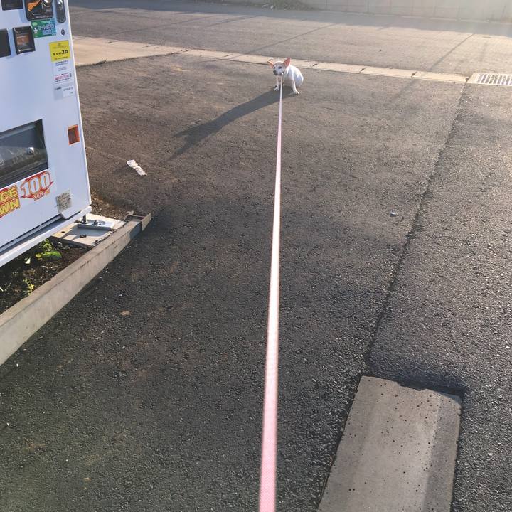 02d84804 5685 44d8 9b39 e96e4a2281c0