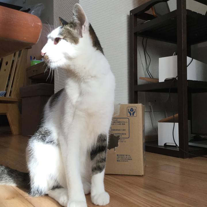 02d869d2 5bc2 4951 a75d aed22e8a4f46