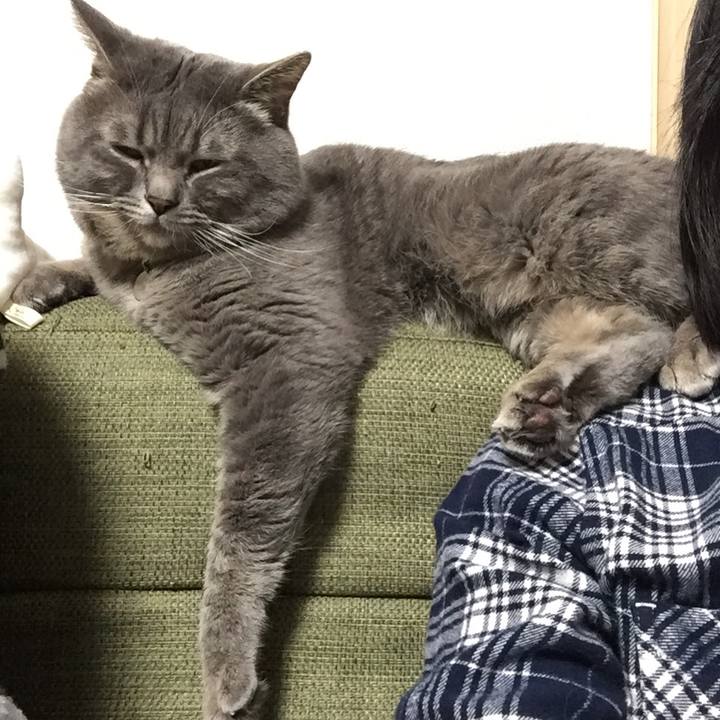 02d93950 e7e0 4e35 a4d2 6f3b65b974ab