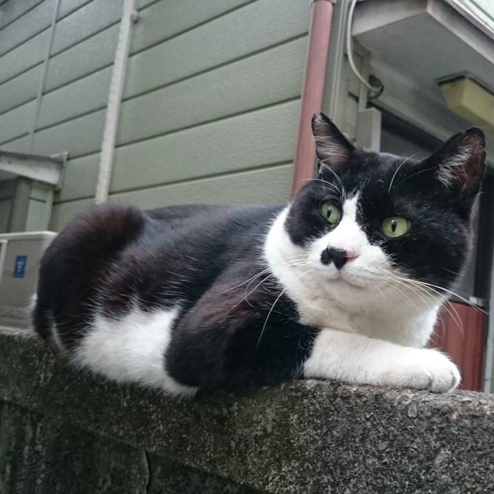 02d99528 fb69 4112 89cb 47ce59a4d432