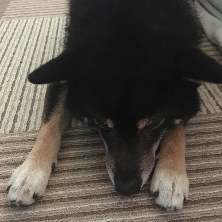 02d9a35a 2781 47fe 9fc1 6948aa91a8a4