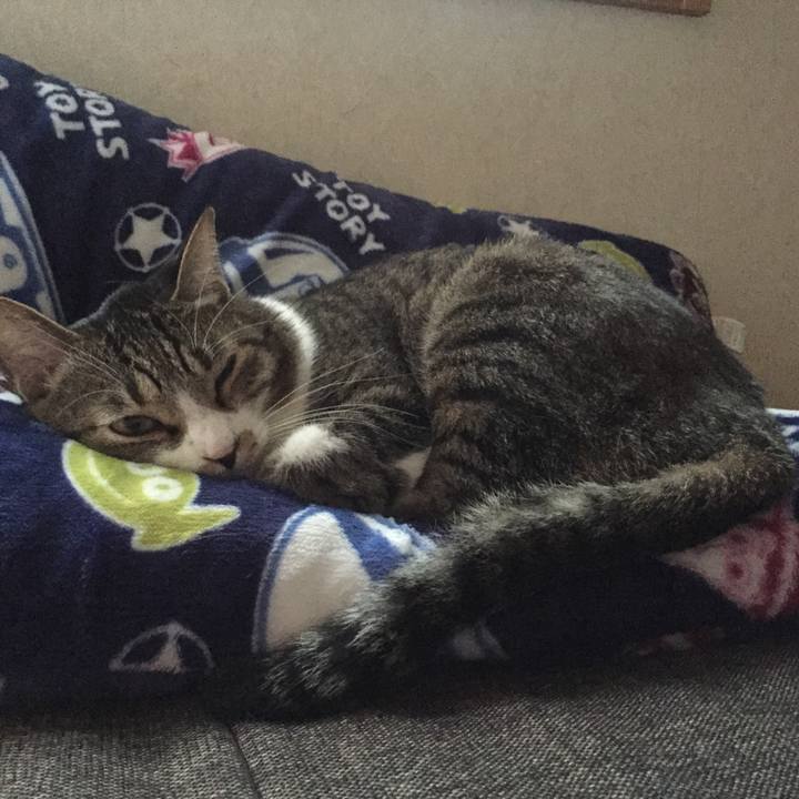 02d9f4e5 a832 4067 b7a0 fb7b45987e57