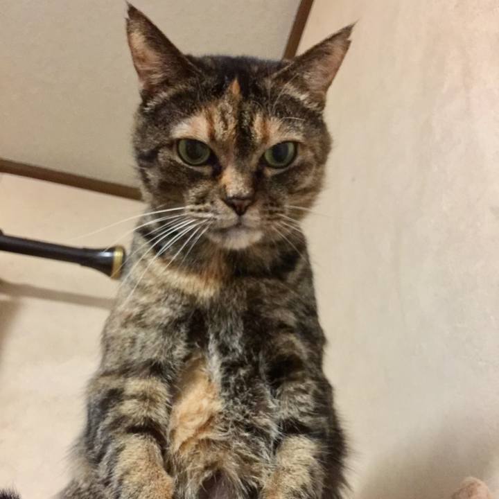 02d9fe8c ba28 4fb0 8706 30f00d07128c