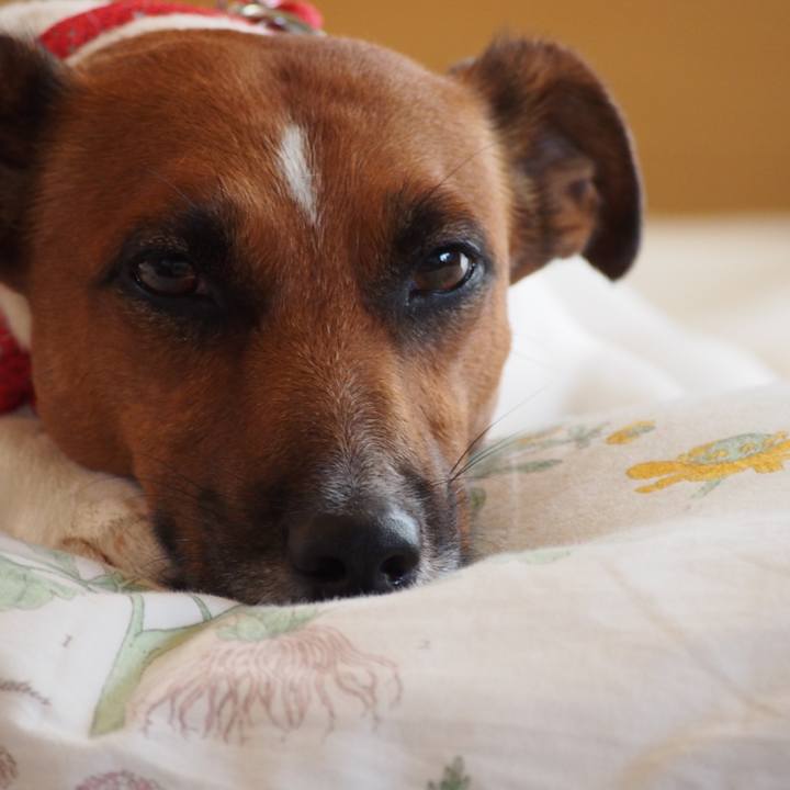 02dad5dd 544c 485d b2a5 2f9e1987e1cb