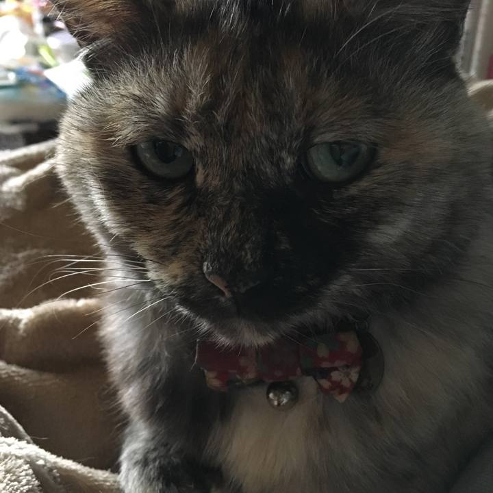 02db3902 b4b2 44cd 8c76 65a3d6c73a20