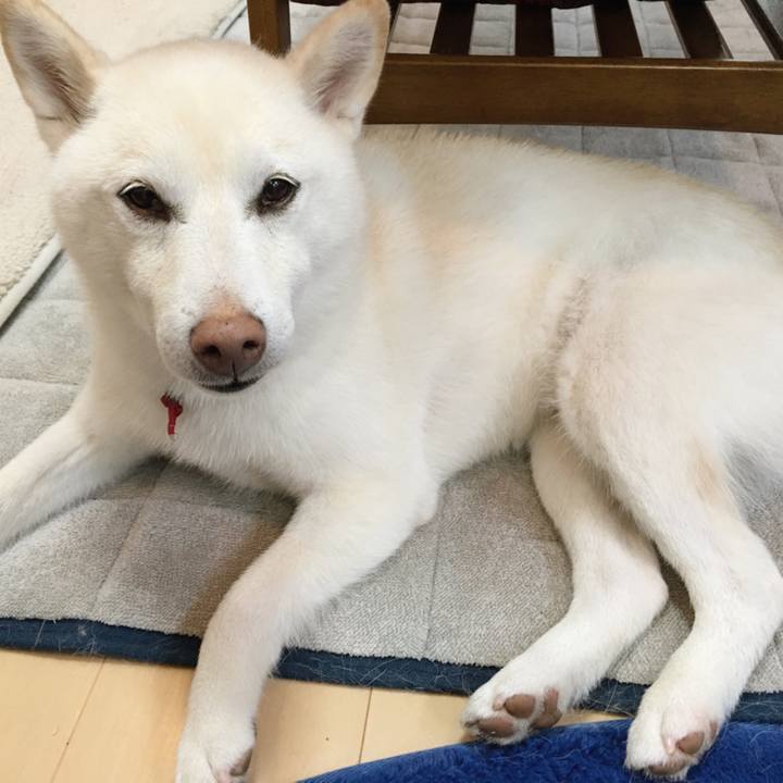 02db52f0 fb36 4687 b890 064d5135be9a