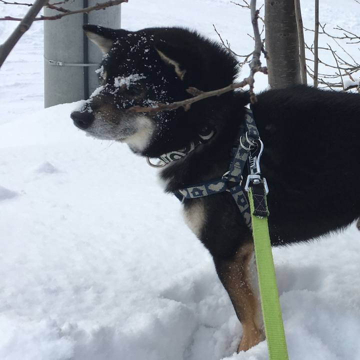 02db6b79 621e 4c57 a4e4 37067a5a63ba