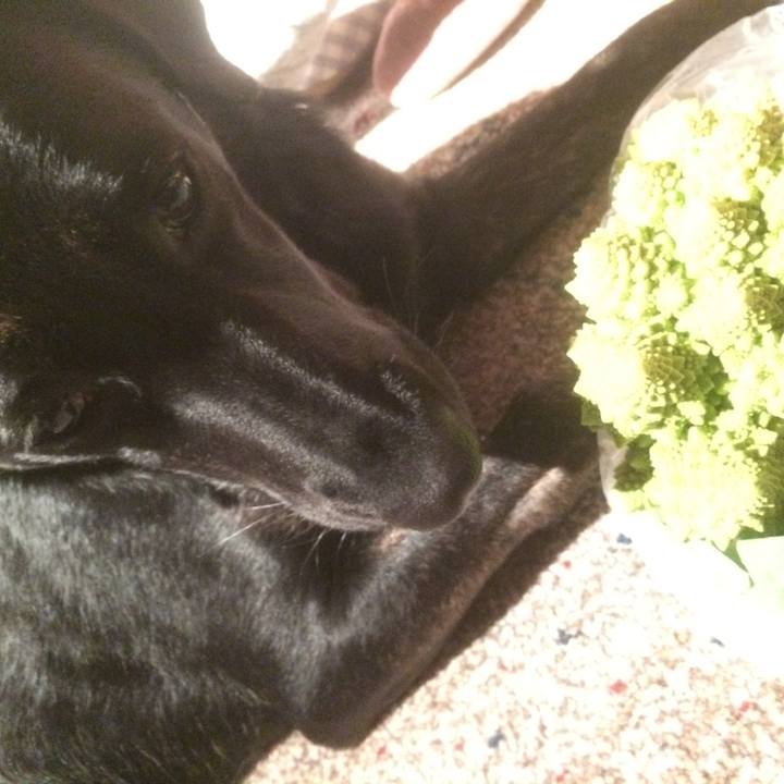 02dbdc7c 0ee8 4e35 b5ad c82d0b908791