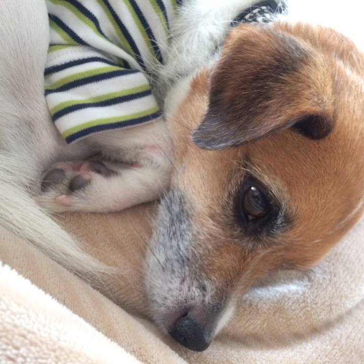 02dccc14 07b1 4df6 937d e4558af6c998