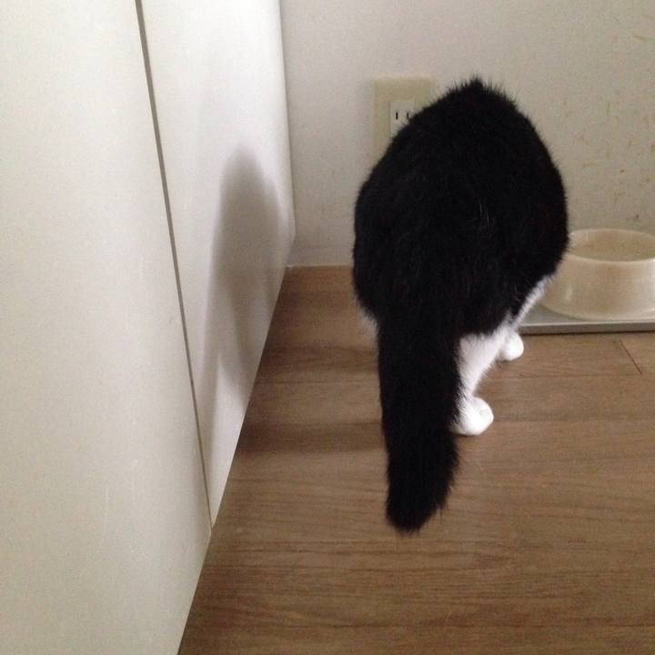 02ddb920 61bc 4c70 aab1 2bd8b87dc655