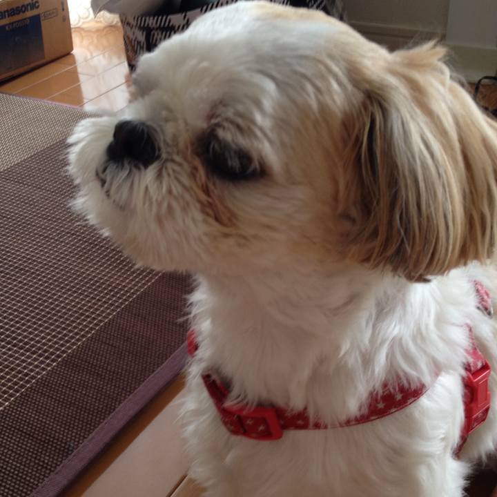 02de69a7 d278 4bf4 94e4 f8ada47723c3