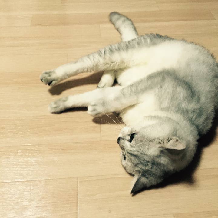 02df1c41 4b08 4e43 98d7 8eeb638231d7