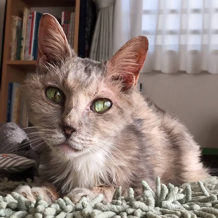 02df27e2 ac74 4afd bd1c c91c5172c6d7