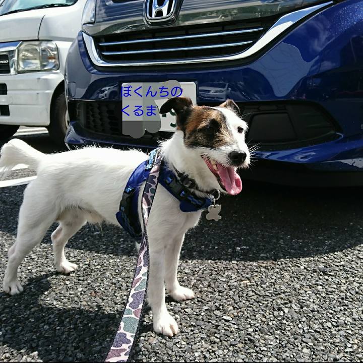 02df2fba 7de8 4583 be58 4e7f53afa7e1