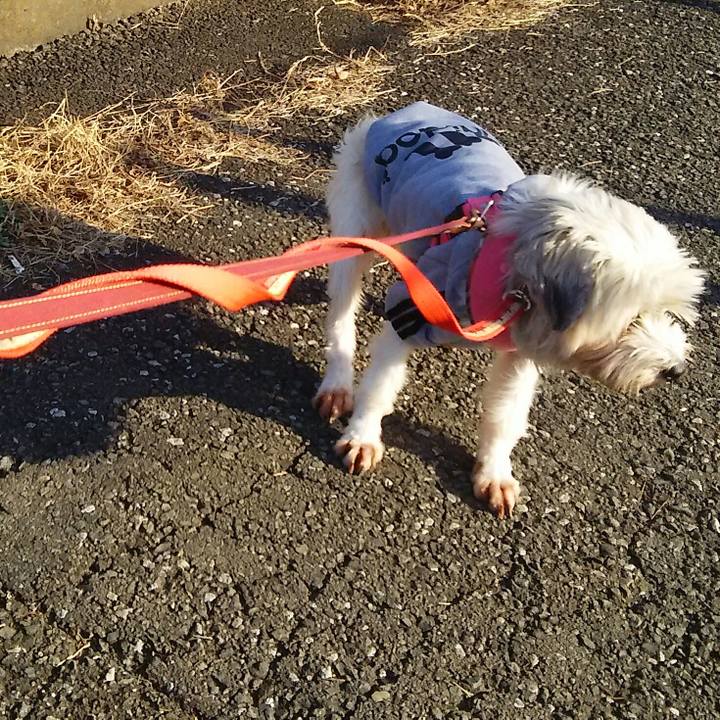 02df5259 ec2a 41fb 89ca 43f32fbd6e8a