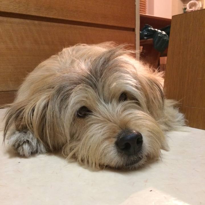 02dfa8b7 0157 4237 be2d 48ce5b6b645f