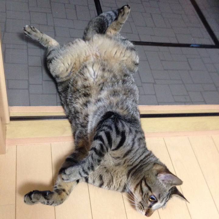 02dfd11d 6cf8 4f86 a609 f5dfa8c3ab17