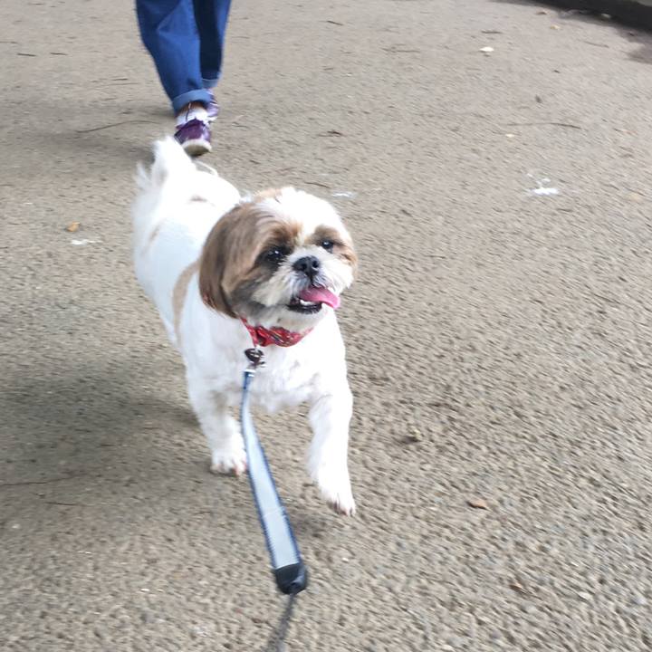 02dfec93 0e7f 433e 817b adba7f66251e