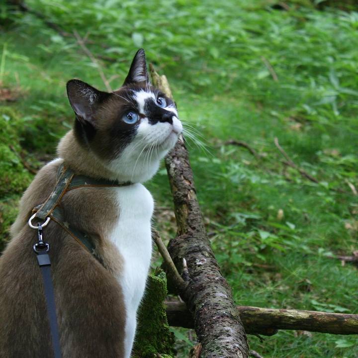 02e0339a a87d 48e9 80cf af37a08fa039