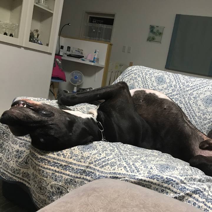 02e0c41b d4fa 4311 8326 f65a9ddb22df