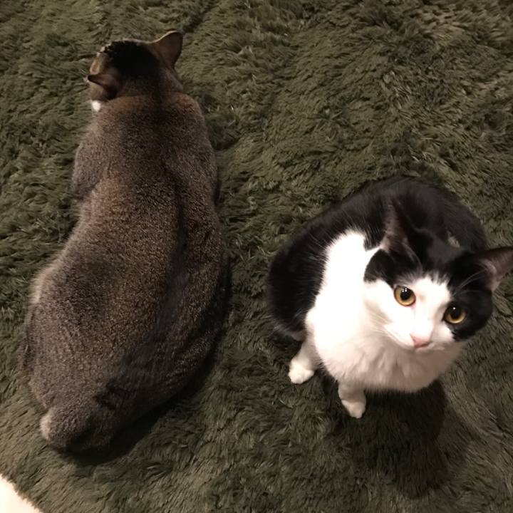 02e1d571 6cdb 4cf2 a5f4 21b34e6471ae