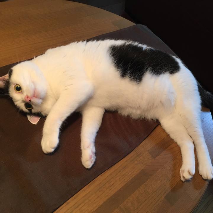 02e1dfe8 d241 4702 b0ec 9dba15379b59