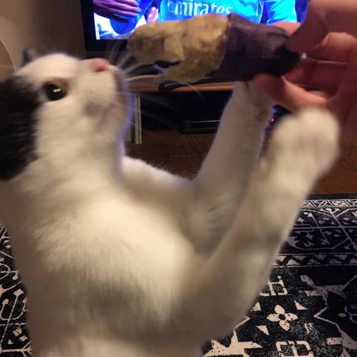 02e28246 67c8 4ad3 aaa9 9e76a65c8436