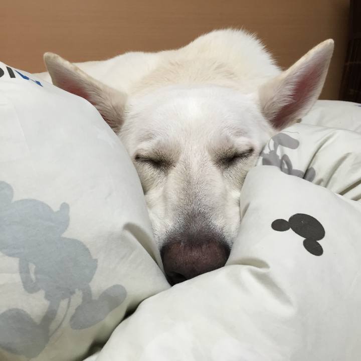 02e2be38 9f23 4a59 b8f9 821e53d2972a