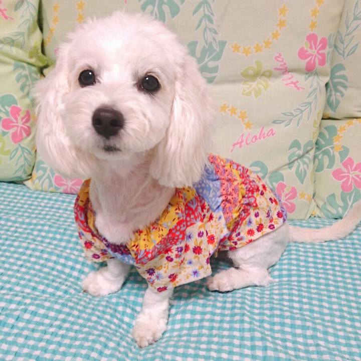 02e2f4ed 8be4 43ca bd9c 4b6d4daaae28