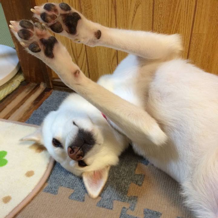 02e44c1e b9df 42b9 aa9c 85414af6b730