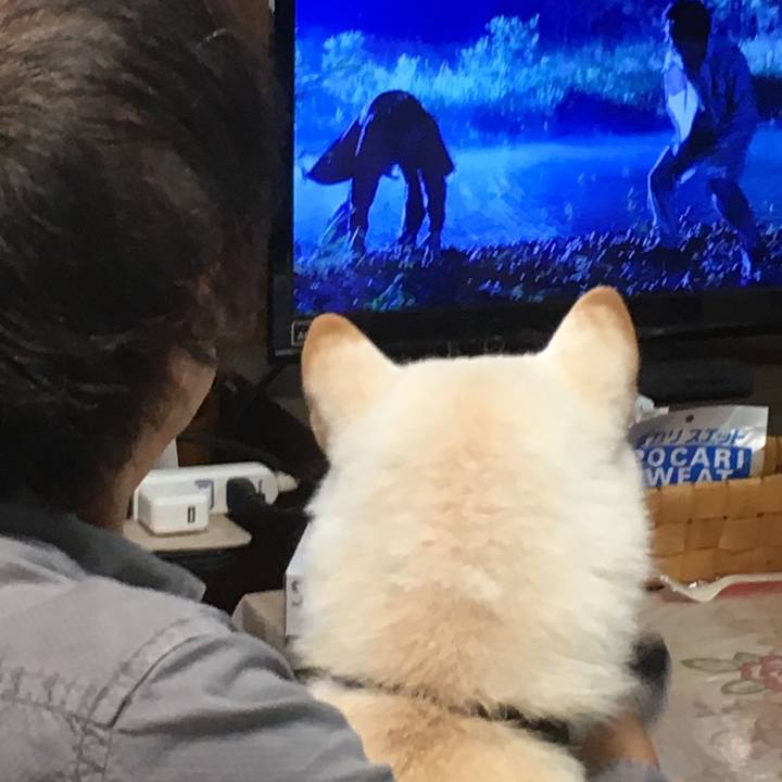 02e4762d 811d 49cd 8d74 e79f61fd9b45