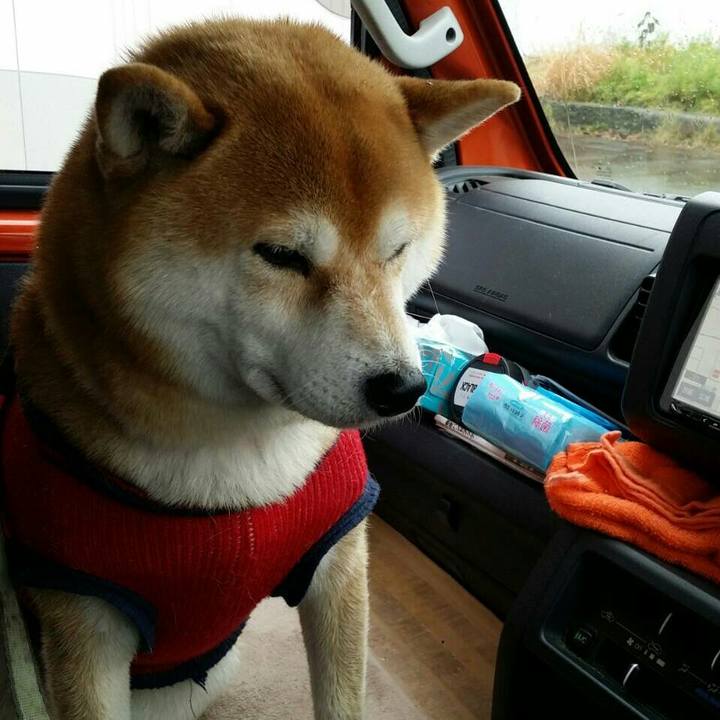 02e481d7 86ed 4008 b8cc c7d4cb23b563